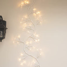 Load image into Gallery viewer, DELICHTER Rein Weiße Rotang Lichterzweig mit 48 helle Warm Weiß LEDs, Strombetrieben, Lichterkette Dekor für Schlafzimmer Innen Außen Weihnachten Wand