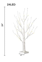 Load image into Gallery viewer, Vanthylit Pre-lit 2FT 24LED Birch Table Tree Lights with Timer LED Bonsai Tree Centerpiece Decoration Table Lamp for Home Wedding Holiday