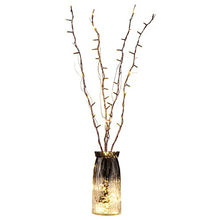 Load image into Gallery viewer, Vanthylit Twig Lights 30 Inch Lighted Natural Willow Twig Branches Battery Operated Floor Vase Decorative Tree Branches with 48 LED Warm White Lights for Indoor Decoration