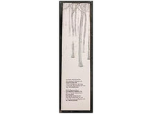 Load image into Gallery viewer, Eambrite Set of 2 Small Birch Twig Tree Lights Photo Display Tree with 24 Warm White LEDs Battery Operated Tabletop Decoration for Xmas Home Party Wedding (60cm/2ft)