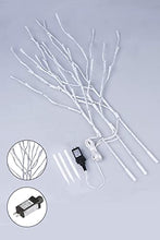 Load image into Gallery viewer, Vanthylit 3PK 30'' Lighted Birch Twig Branches with 60 LED Warm White Bulbs Waterproof Adapter in for Outdoor and Indoor Decor