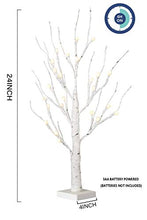Load image into Gallery viewer, EAMBRITE White Birch Tree 24IN 24LT Lighted Frosted Ball Twig Tree with Timer for Home Wedding Holiday Birthday Party Decoration Indoor Use