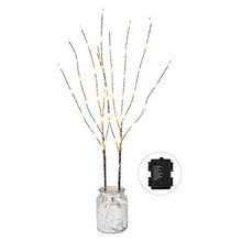 Load image into Gallery viewer, Vanthylit 2PK 30'' Twig Brown Branch with a Thin Layer of Snow with Fairy LED Lights 50LED Battery Operated Lighted Decoration Indoor Outdoor Use(Vase Excluded)