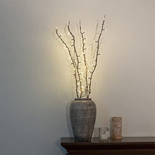 Load image into Gallery viewer, PEIDUO Lighted Willow Branch Battery Powered 30Inch 4PK 48L Warm White LED for Christmas Room Decoration Indoor Apartment