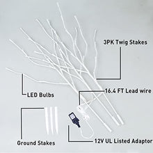 Load image into Gallery viewer, EAMBRITE Lighted White Branches 30IN 60 LED, Natural Decorative Willow Branches Twig Lights Plug in for Vases, Tree Lamp for Home Party Wedding Holiday Indoor Outdoor Room Decoration