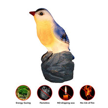 Load image into Gallery viewer, EAMBRITE Handmade Real Wax Bird Candle Light Battery Operated Flameless Candle Childrenās Room Table Lamp with Timer Home Party Holiday Christmas Decor