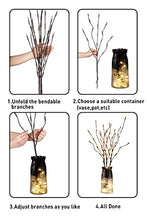Load image into Gallery viewer, EAMBRITE Set of 2, 3PK 30" Brown Wrapped Lighted Twig Stake with 60LT Warm White LED Bulbs for Outdoor and Indoor use(Vase Excluded)