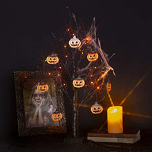 Load image into Gallery viewer, EAMBRITE 2FT Black Glitter Spooky Tree Light with 24 LED Orange Lights and 8 Pcs Pumpkin Accessories for Halloween Decoration Battery Operated Indoor Decoration(UL Certified)