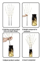 Load image into Gallery viewer, EAMBRITE 2PK 75cm Christmas Decorative Twig Lights Snow Frosted Garden Stake Lights with 50 Warm White LEDs Battery Powered Lighted Branches for Indoor and Outdoor Use