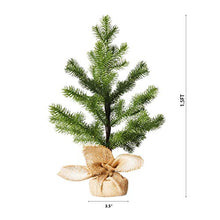 Load image into Gallery viewer, Vanthylit Spring Decor, 1.5FT Pine Tree with 36 Warm White Fairy Lights Tabletop Tree, Small Pre-lit Pine Tree for Home Decorations