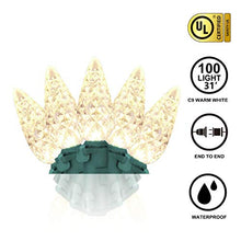 Load image into Gallery viewer, EAMBRITE 100LT C6 Christmas String Lights120V UL Certified for Patio Christmas Tree Garden Yard Indoor and Outdoor, Green Wire