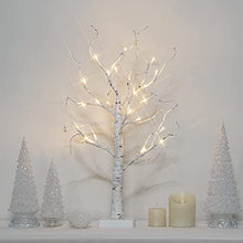 Load image into Gallery viewer, PABIPABI Easter Decorations for The Home, 2FT Easter Table Centerpiece Decoration Lighted Birch Tree, Battery Powered Easter Tree Timer (Warm White)