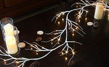 Load image into Gallery viewer, EAMBRITE White Garland Lights 6FT 48 LED Lighted Twig Vine Plug in for Christmas Fireplace Indoor Outdoor Use