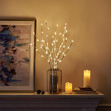 Load image into Gallery viewer, EAMBRITE Home Decorative Twig Lights Lighted White Birch Twig Branches Pathway Stakes with 60 LED White Lights Waterproof Plug in for Outdoor and Indoor Decor (3PK, 76cm)