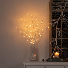 Load image into Gallery viewer, Vanthylit 3PK 30'' Lighted Pathway Light White Willow Twig Branches with 60 LED Warm White Waterproof Plug in for Outdoor and Indoor Decor