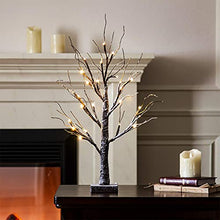 Load image into Gallery viewer, EAMBRITE Battery-Operated 24" Snow Bonsai Tree Lights with 24 Warm White LED for Indoor use Tabletop Tree Light for Home Decor