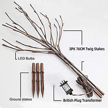 Load image into Gallery viewer, EAMBRITE 3PK 76cm Home Decorative Twig Lights Garden Stake Branch Lights with 60 Warm White LEDs Mains Powered Lighted Branches for Spring Decor Outdoor and Indoor