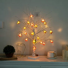 Load image into Gallery viewer, Vanthylit LED Star String Lights Battery Operated Decorative Fairy Lights for Indoor Wedding and Holiday Decorations-2 Pack