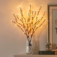 Load image into Gallery viewer, Vanthylit Lighted Branches with 3PK 60LED Twig Lights Plug in for Home Decoration, Light up Willow Branch Lights for Vases