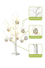 Load image into Gallery viewer, EAMBRITE 2FT 24LT White Birch Twig Tree Lights Tabletop Gift Cards Mothers's Day Tree with Ornaments Home Decoration Warm White Lamp LED