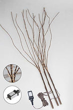 Load image into Gallery viewer, Vanthylit Pre-lit 33'' 3PK Twig Branches Pathway Lights 120LED Path Light Waterproof Adapter Willow Branch Lights for Outdoor and Indoor Decor