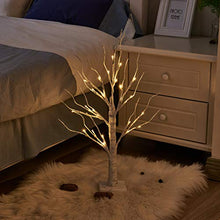 Load image into Gallery viewer, EAMBRITE 2er Set Lichterbaum Lichterzweige für Innen 24 Warmweiß LEDs Bäumchen Birken Dekozweige Batteriebetrieb Weihnachtsdeko für Zuhause Party Geburtstag Hochzeit Innendekoration (60cm/2ft)