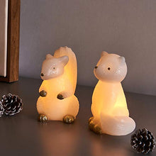 Load image into Gallery viewer, Set von 2,EAMBRITE Tierisches Echtwachskerzenlicht Batteriebetriebene flammenlose LED-Kerzen mit Zeitschaltuhr Dekorative Fox- und Eichhörnchenwachs-Lichter für Hause Hochzeit Weihnachten