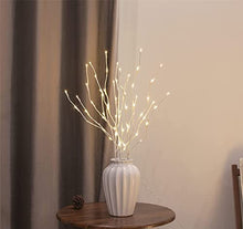 Load image into Gallery viewer, EAMBRITE Home Decorative Twig Lights Lighted White Twig Branches Pathway Stakes with 60 LED White Lights Waterproof Plug in for Outdoor and Indoor Decor (3PK, 76cm)