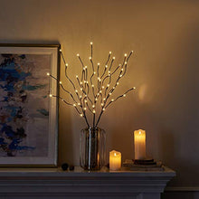 Load image into Gallery viewer, EAMBRITE 3PK 76cm Home Decorative Twig Lights Garden Stake Branch Lights with 60 Warm White LEDs Mains Powered Lighted Branches for Spring Decor Outdoor and Indoor