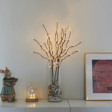 Load image into Gallery viewer, PEIDUO Lighted Willow Branch 30Inch 3PK 60L LED Pathway Lights for Home Decoration Indoor Apartment Outdoor Stake Lights for Lawn