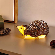 Load image into Gallery viewer, EAMBRITE Table Decoration Hedgehog Figurine with Lights Timer Battery Operated Flameless LED Candle Night Lights for Children Home Decor