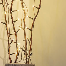 Load image into Gallery viewer, PEIDUO Lighted Willow Branch Battery Powered 30Inch 4PK 48L Warm White LED for Christmas Room Decoration Indoor Apartment