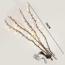 Load image into Gallery viewer, Vanthylit Twig Lights 30 Inch Lighted Natural Willow Twig Branches Battery Operated Floor Vase Decorative Tree Branches with 48 LED Warm White Lights for Indoor Decoration