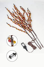 Load image into Gallery viewer, Vanthylit Lighted Branches with 3PK 60LED Twig Lights Plug in for Home Decoration, Light up Willow Branch Lights for Vases