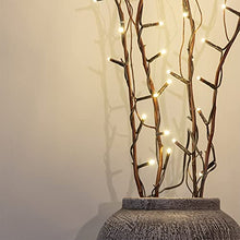 Load image into Gallery viewer, PEIDUO Lighted Willow Branch Battery Powered 30Inch 4PK 48L Warm White LED for Christmas Room Decoration Indoor Apartment