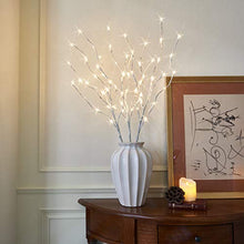 Load image into Gallery viewer, EAMBRITE Pre Lit White Birch Twig Branch Lights 30IN 60LT Plug in Lighted Willow Branch for Home Holiday Party Wedding Spring Decoration Indoor and Outdoor Use (Vase Excluded)