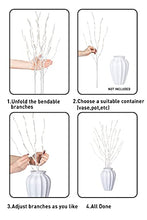 Load image into Gallery viewer, EAMBRITE Pre Lit White Birch Twig Branch Lights 30IN 60LT Plug in Lighted Willow Branch for Home Holiday Party Wedding Spring Decoration Indoor and Outdoor Use (Vase Excluded)