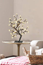 Load image into Gallery viewer, KELANCHY Cherry Blossoms Tree 17.7” 48LT Light Warm White with Adapter for Home Centerpiece Bedroom Wedding Indoor