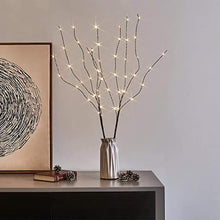 Load image into Gallery viewer, EAMBRITE 2PK 75cm Christmas Decorative Twig Lights Snow Frosted Garden Stake Lights with 50 Warm White LEDs Battery Powered Lighted Branches for Indoor and Outdoor Use
