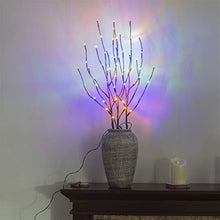 Load image into Gallery viewer, PEIDUO Electric Lighted Willow Branch Plug 30Inch 3PK 60L LED Pathway Lights for Christmas Room Decoration Indoor Apartment Outdoor Stake Lights for Lawn