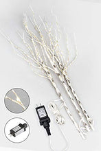 Load image into Gallery viewer, Vanthylit 3PK Lighted Birch Twig Branches with 30'' 90 LED Pathway Lights Waterproof Plug for Outdoor and Indoor Decor