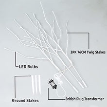 Load image into Gallery viewer, EAMBRITE Home Decorative Twig Lights Lighted White Twig Branches Pathway Stakes with 60 LED White Lights Waterproof Plug in for Outdoor and Indoor Decor (3PK, 76cm)