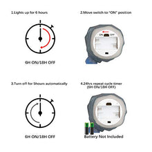 Load image into Gallery viewer, EAMBRITE LED Coloured Bird Night Lights Animal Table Centrepiece Decoration Lighted Bird Figurine for Home Decor