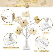 Load image into Gallery viewer, Vanthylit Money Tree Gift Holder Set of 2, 24 LED Warm White Lights Battery Powered Timer, with 24 Clips and 12 Greeting Cards, Gift Holder Decor for Photo Mother's Day Christmas Graduation Gifts