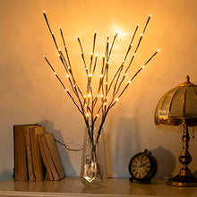 Load image into Gallery viewer, Vanthylit 3PK 30" Brown Lighted Twig Branches Pathway Light 60 LED Warm White Bulbs for Outdoor and Indoor