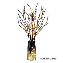 Load image into Gallery viewer, Vanthylit Set of 2 3PK 30" Brown Lighted Twig Stakes 120 Warm White Pathway Light for Outdoor and Indoor (Vase Excluded)