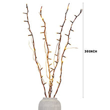Load image into Gallery viewer, PEIDUO Lighted Willow Branch Battery Powered 30Inch 4PK 48L Warm White LED for Christmas Room Decoration Indoor Apartment