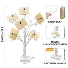 Load image into Gallery viewer, PEIDUO Set of 2 Money Trees, Lighted 2FT 24LT Gift Card Tree with Clips and Greeting Cards, Money Tree Gift Holder for Birthday, Christmas, Halloween, Wedding, Graduation and Back to School Gifts