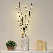 Load image into Gallery viewer, Vanthylit Twig Lights 30 Inch Lighted Natural Willow Twig Branches Battery Operated Floor Vase Decorative Tree Branches with 48 LED Warm White Lights for Indoor Decoration