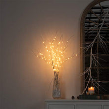 Load image into Gallery viewer, Vanthylit 3PK Lighted Birch Twig Branches with 30'' 90 LED Pathway Lights Waterproof Plug for Outdoor and Indoor Decor